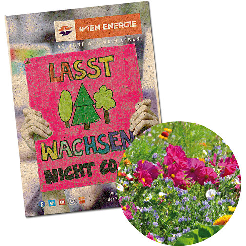 Pochette de graines PM - papier d herbes - Mélange de fleurs d été, Image 1