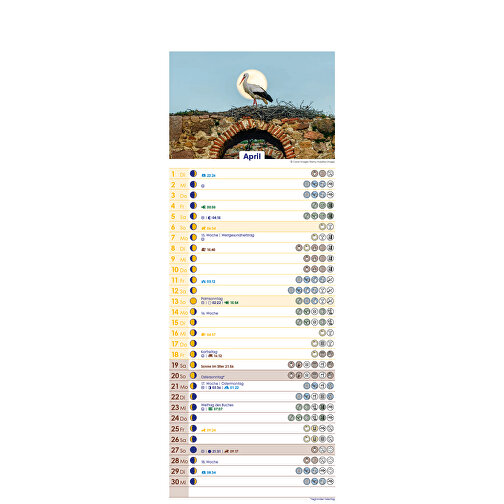 Mondkalender , Papier, 42,00cm x 14,90cm (Höhe x Breite), Bild 5