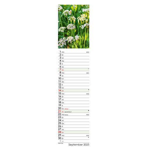 Wunderwelt Heilpflanzen , Papier, 55,30cm x 11,30cm (Höhe x Breite), Bild 18