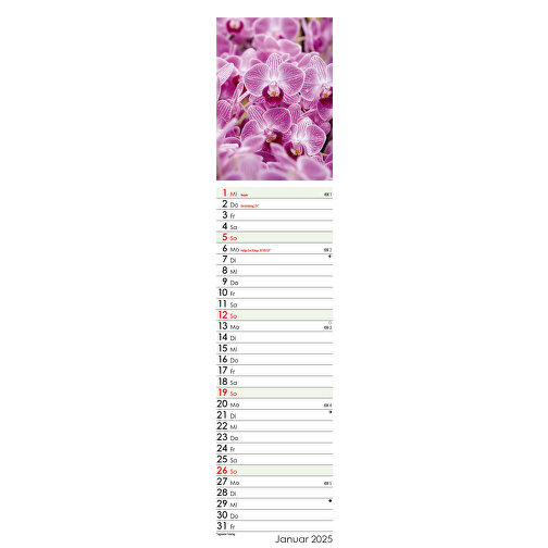 Prächtige Blüten , Papier, 55,30cm x 11,30cm (Höhe x Breite), Bild 2