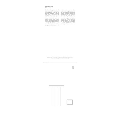 , Bild 15