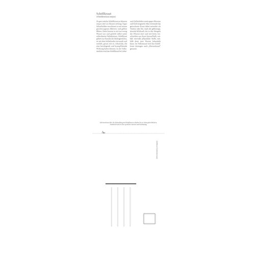 Gesundheit Durch Heilkräuter , Papier, 42,00cm x 11,90cm (Höhe x Breite), Bild 17