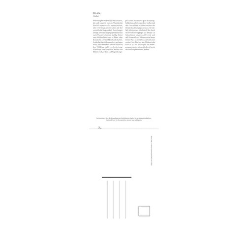 Gesundheit Durch Heilkräuter , Papier, 42,00cm x 11,90cm (Höhe x Breite), Bild 5