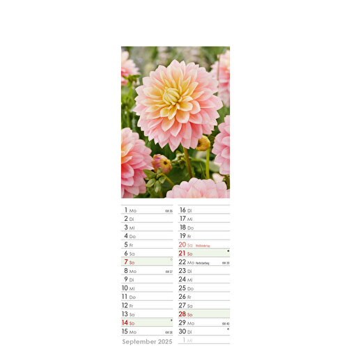 Farbige Blumenwelt , Papier, 34,00cm x 11,90cm (Höhe x Breite), Bild 18