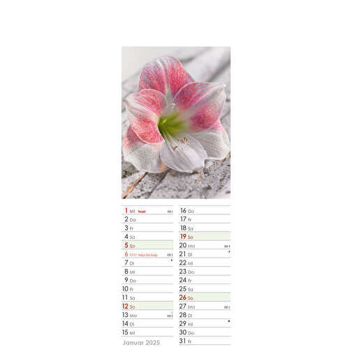 Farbige Blumenwelt , Papier, 34,00cm x 11,90cm (Höhe x Breite), Bild 2