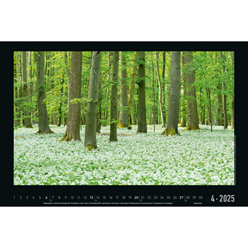 Naturlandschaften Deutschlands , Papier, 38,80cm x 49,50cm (Höhe x Breite), Bild 5