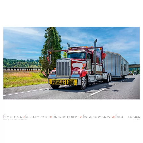 , Bild 7