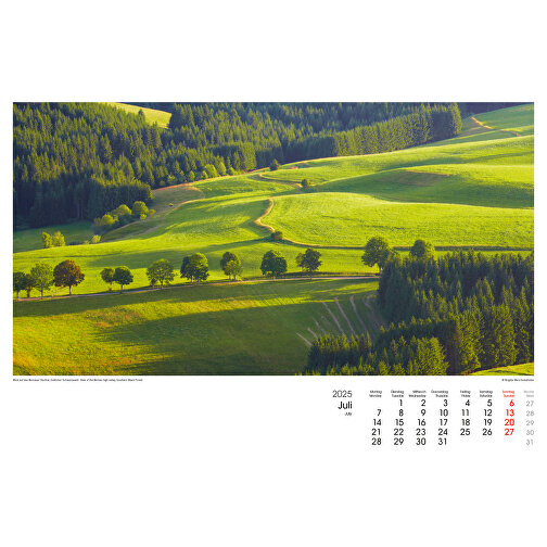 Schwarzwald , Papier, 29,70cm x 42,00cm (Höhe x Breite), Bild 8