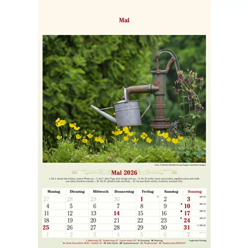 , Bild 6