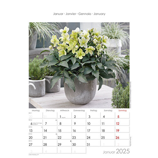 Blumen-Arrangements , Papier, 34,00cm x 23,70cm (Höhe x Breite), Bild 2