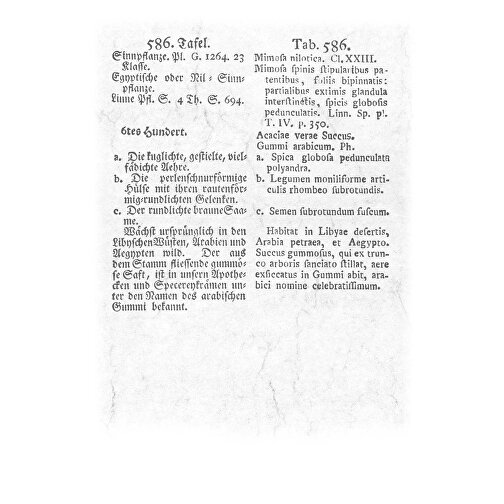 Aus Alten Pflanzenbüchern , Papier, 34,00cm x 23,70cm (Höhe x Breite), Bild 17