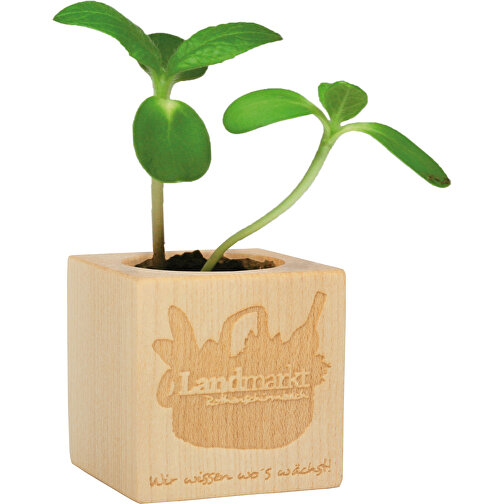 Pot cube bois mini - standard - Tournesol - Gravure laser sur 1 côté du pot, Image 2