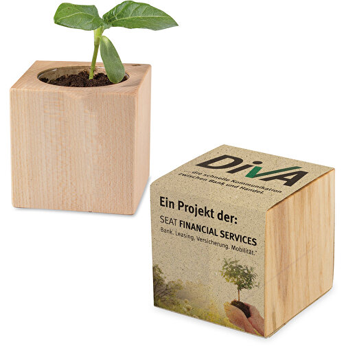 Pot cube - Mélange d herbes aromatiques, Image 2