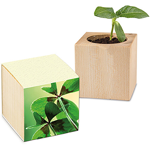 Pot cube - Bulbes de trèfle à 4 feuilles, Image 1