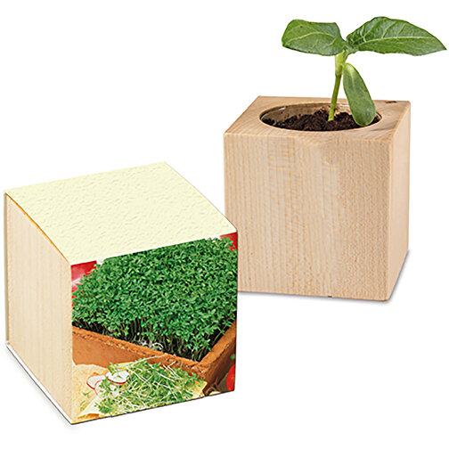 Pflanz-Holz Mit Samen (Graspapier-Banderole) - Gartenkresse , individuell, Papier, Holz, Erde, Saatgut, 4,00cm x 4,00cm x 4,00cm (Länge x Höhe x Breite), Bild 1