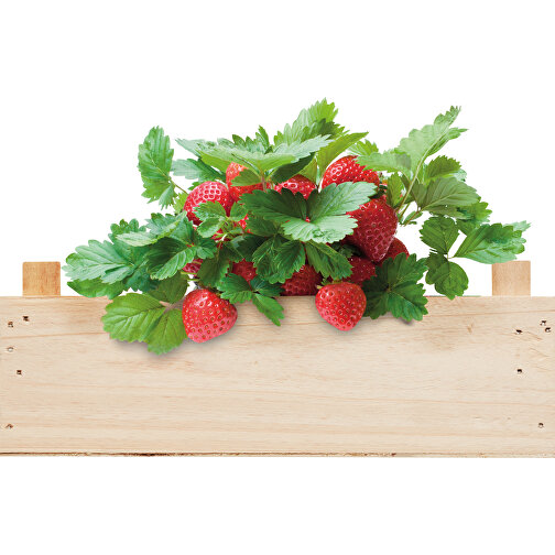 Strawberry , holzfarben, Holz, 20,50cm x 7,50cm x 13,00cm (Länge x Höhe x Breite), Bild 3