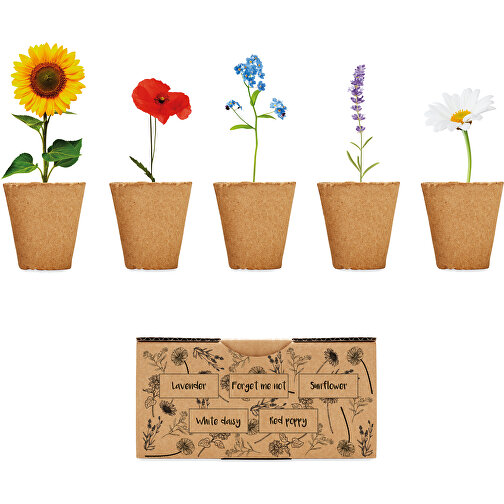 Flowers , beige, Karton, 16,50cm x 8,50cm x 9,50cm (Länge x Höhe x Breite), Bild 1