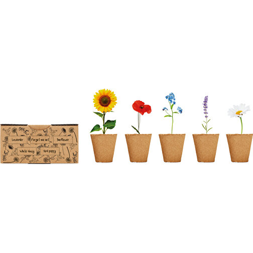 Flowers , beige, Karton, 16,50cm x 8,50cm x 9,50cm (Länge x Höhe x Breite), Bild 4