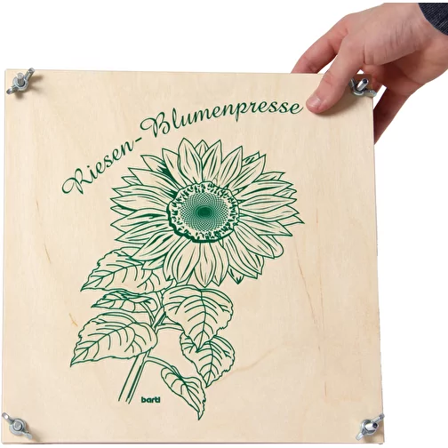Presse-fleurs géant 30 x 30 cm, Image 2