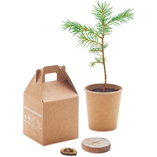 Growtree™ , beige, Karton, 7,00cm x 13,00cm x 6,50cm (Länge x Höhe x Breite), Bild 1