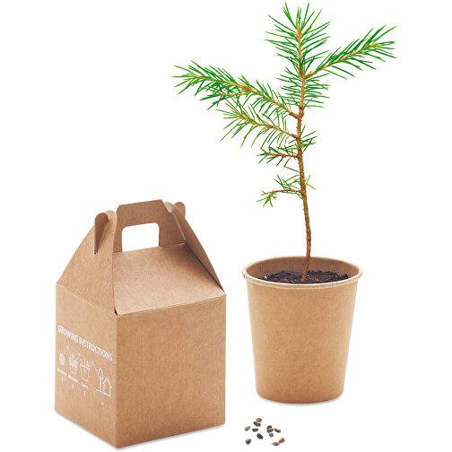 Growtree™ , beige, Karton, 7,00cm x 13,00cm x 6,50cm (Länge x Höhe x Breite), Bild 9