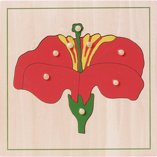 Botanische Puzzles , , 24,00cm x 6,00cm x 24,00cm (Länge x Höhe x Breite), Bild 2