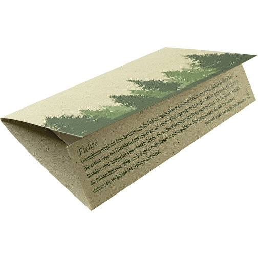 Graspapier-Kärtchen Fichte , bunt, Papier, Samen, 9,00cm x 6,00cm (Länge x Breite), Bild 2