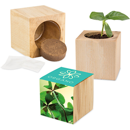 Pot cube bois maxi avec graines - Bulbes de trèfle à 4 feuilles, Image 1