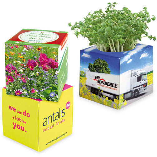 Cube à planter 2.0 avec graines - Mélange de fleurs d été, Image 1