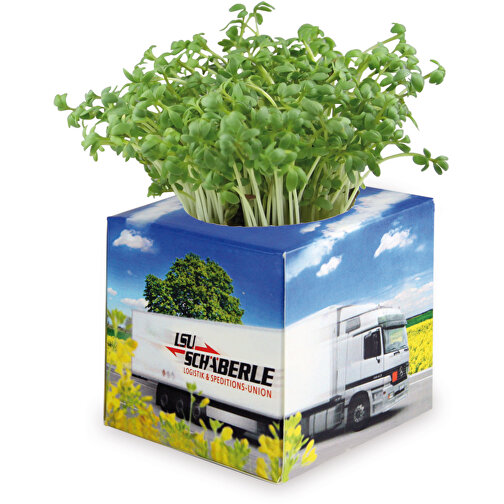 Cube à planter 2.0 avec graines - Mélange de fleurs d été, Image 4