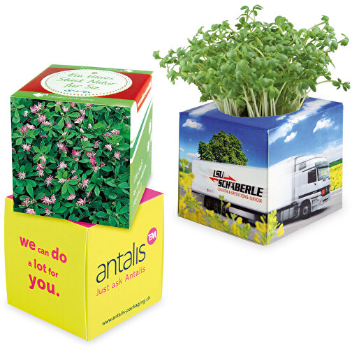 Cube à planter 2.0 avec graines - Trèfle persan, Image 1