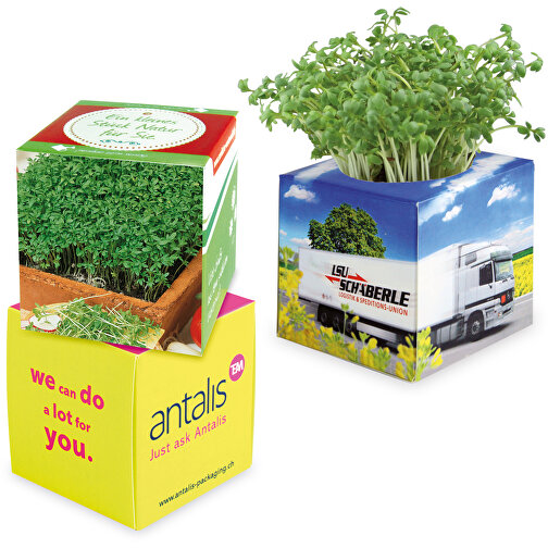 Cube à planter 2.0 avec graines - Cresson de jardin, Image 1