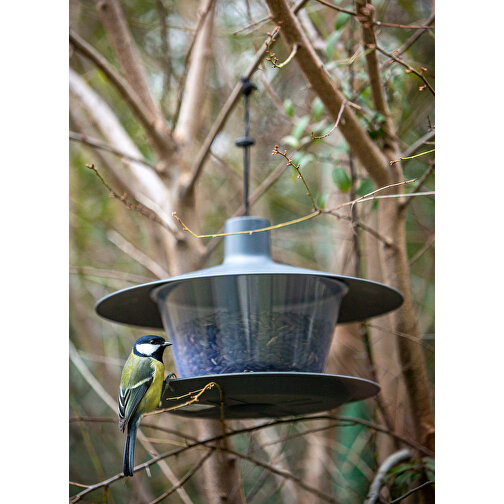Mangeoire pour oiseaux à suspendre, à poser, à réjouir !, Image 5
