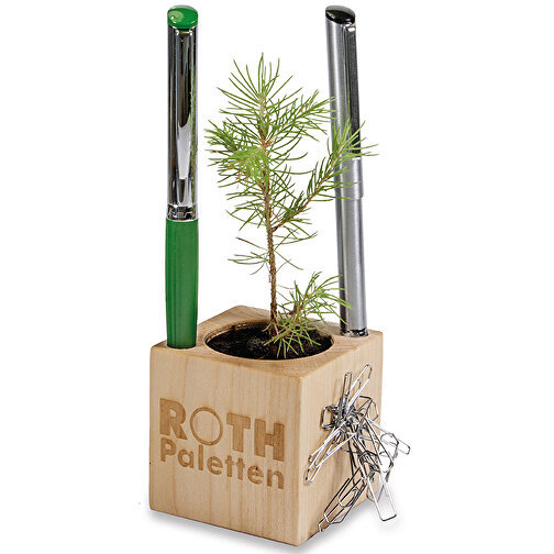 Plant Wood Office Star Box - Förgätmigej, 1 sida laserad, Bild 2