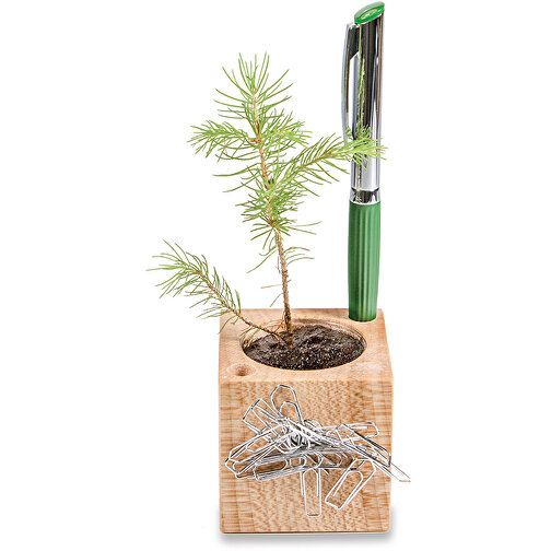 Plant Wood Office Star Box - Nontiscordardime, senza vetro, Immagine 3
