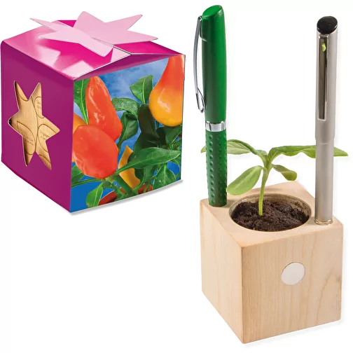 Pot cube boisde bureau en boite star-box avec graines - Piment, Image 1