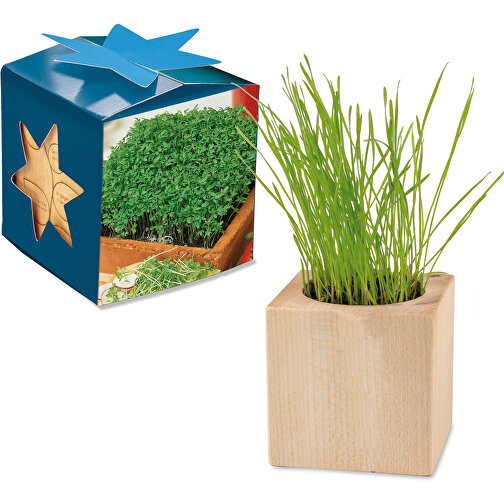 Pot cube bois Maxi en boite star-box avec graines - Cresson de jardin, 2 sites gravés au laser, Image 1