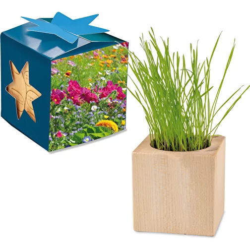 Pot cube bois Maxi en boite star-box avec graines - Mélange de fleurs d été, 1 sites gravés au , Image 1