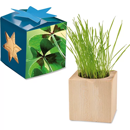 Pot cube bois Maxi en boite star-box avec graines - Bulbes de trèfle à 4 feuilles, Image 1
