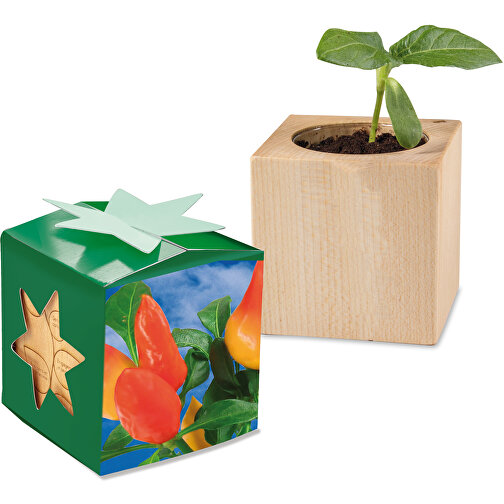 Pflanz-Holz Star-Box Mit Samen - Gewürzpaprika, 2 Seiten Gelasert , individuell, Papier, Holz, Erde, Saatgut, 4,00cm x 4,00cm x 4,00cm (Länge x Höhe x Breite), Bild 1