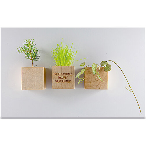 Magnete in legno per piante - Basilico, 2 lati laserati, Immagine 2