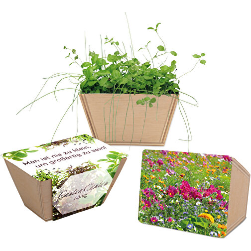 Mini-jardinière bois avec graines - Mélange de fleurs d été, Image 1
