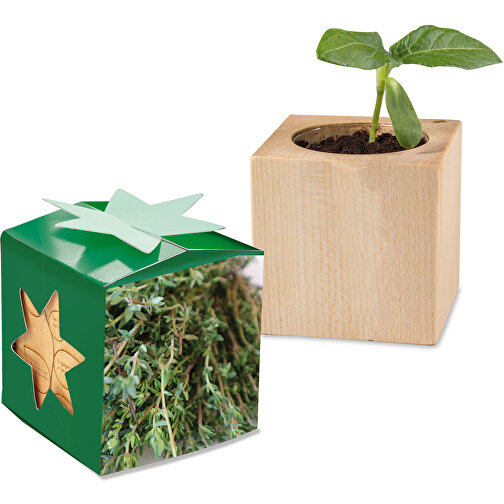 Plant Wood Star Box - Tomillo, 1 cara con láser, Imagen 1