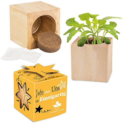 Pot cube bois mini en boite star-box, de Pâques avec graines - mini-aubergine, Image 1