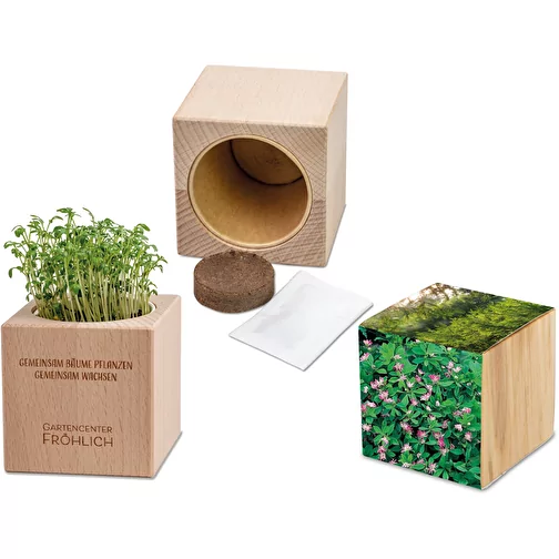 Plante-bois Grande avec graines - Trèfle persan, 1 sites gravés au laser, Image 1