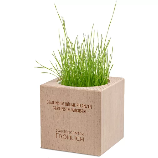Plante-bois Grande avec graines - Trèfle persan, 1 sites gravés au laser, Image 2