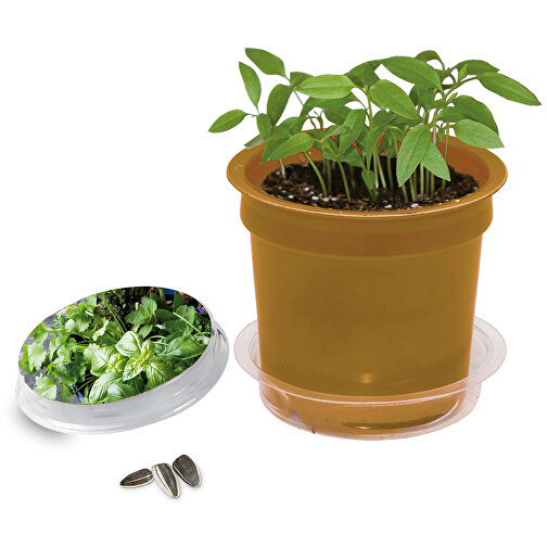 Pot Florero avec graines - oder - Mélange d herbes aromatiques, Image 1