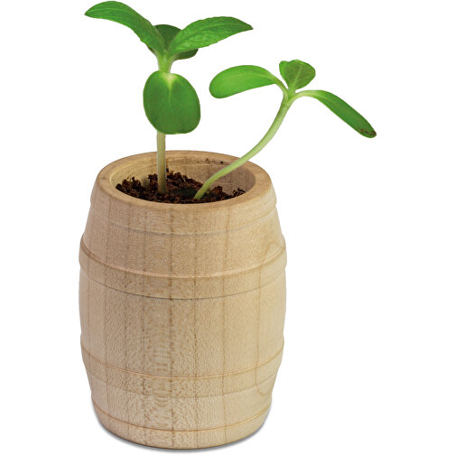 Mini-tonneau en bois avec graines - Mélange de fleurs d été, Image 3