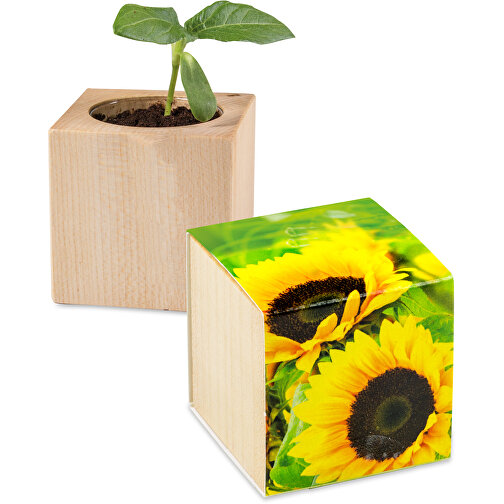 Pflanz-Holz - Standardmotiv - Sonnenblume - Ohne Lasergravur , Papier, Holz, Erde, Saatgut, 4,00cm x 4,00cm x 4,00cm (Länge x Höhe x Breite), Bild 1
