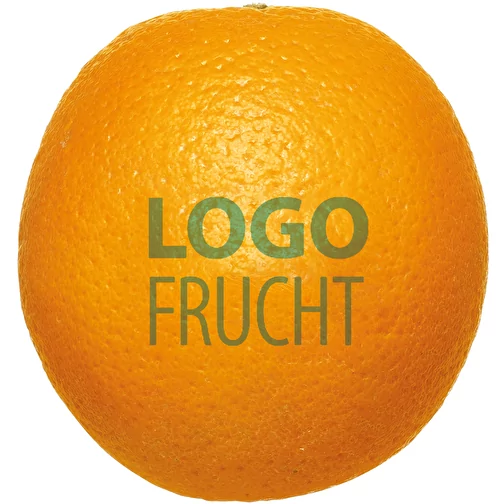 LogoFruit Orange - Kiwi, Obraz 1